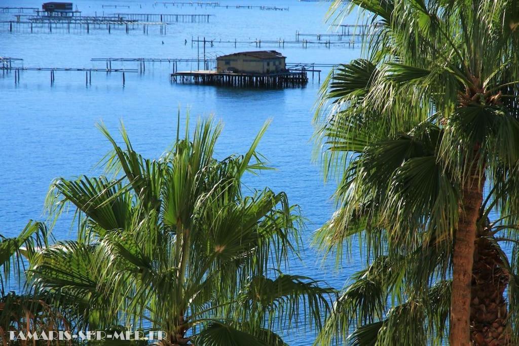Apartmán Port Tamaris, Le Troisieme La Seyne-sur-Mer Exteriér fotografie